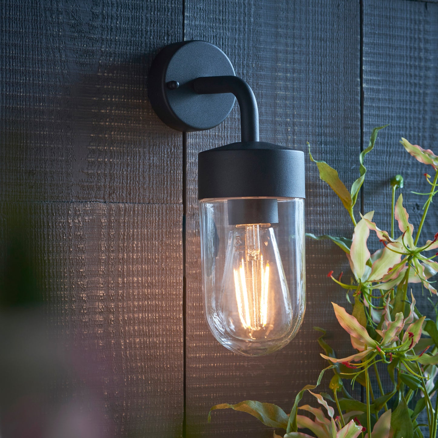 North Wall Light Matt Black