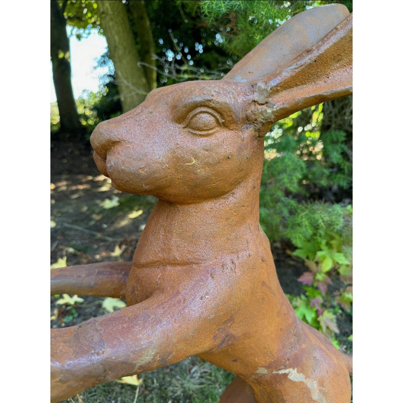 Cast Iron Fighting Hares (Pair)